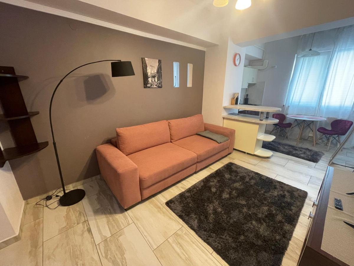 Ferienwohnung Le Lupin / Center Iasi Exterior foto